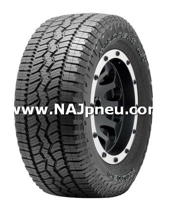 Letné Pneumatiky, SUV/crossover + OFFRoad-ové Falken WILDPEAK A/T AT3Wa