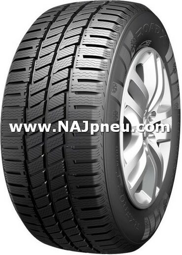 Zimné Pneumatiky, Dodávkové + malé úžitkové RoadX RXFROST WC01